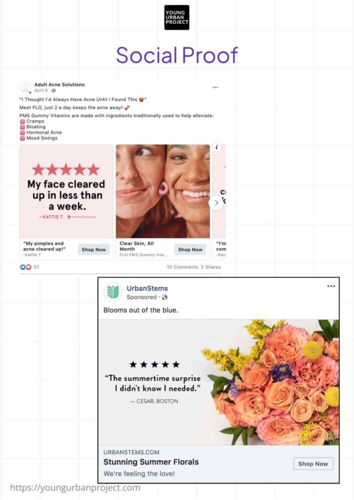 Social Proof Ad Copy