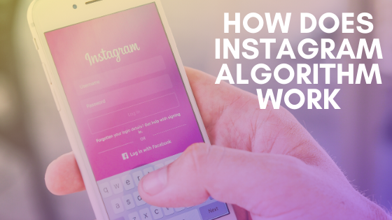 Revealed - How Instagram Algorithm Works in 2020