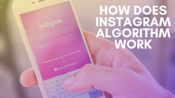 Revealed: How Instagram Algorithm Works