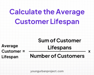 How to calculate Lifetime Value (LTV) in performance marketing? A Step-by-Step Guide 4