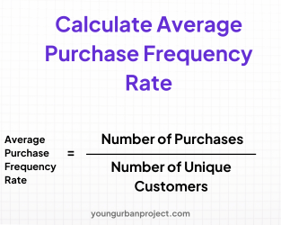 How to calculate Lifetime Value (LTV) in performance marketing? A Step-by-Step Guide 2