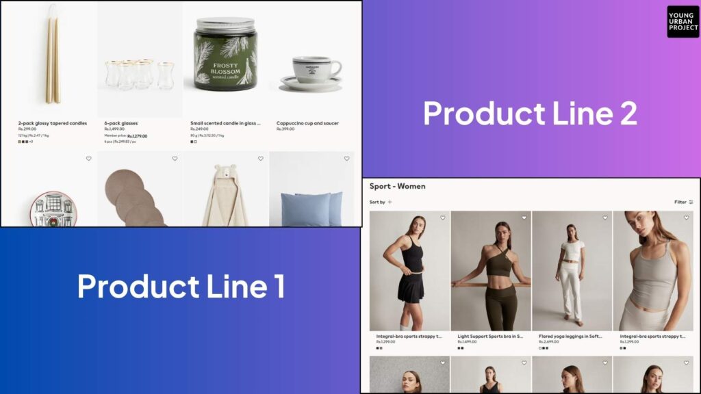 What is a Product Line? Examples, Importance and Strategies 2