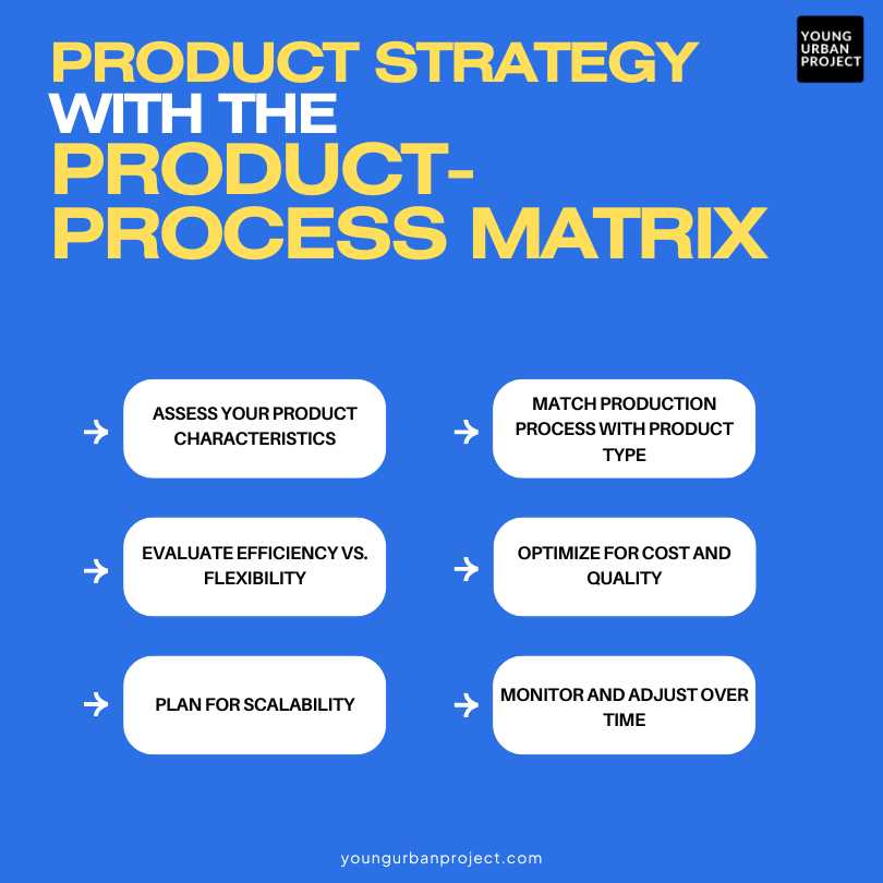 What is the Product Process Matrix? Comprehensive Guide 1