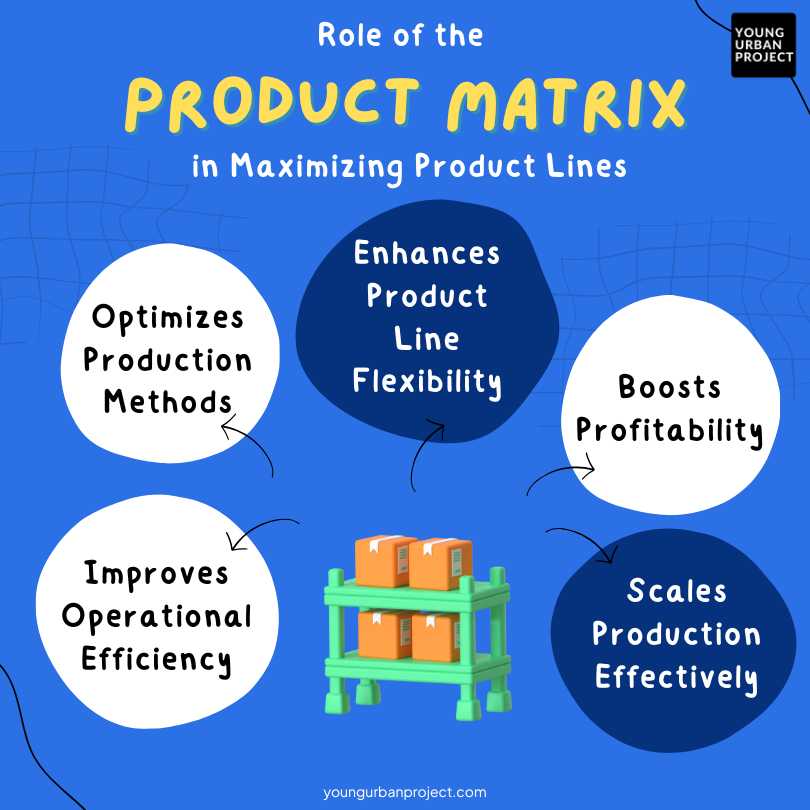 what is the product process matrix role 