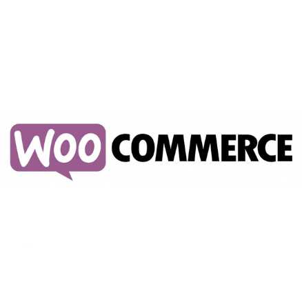 Top E-Commerce Frameworks to Boost Your Online Business 2