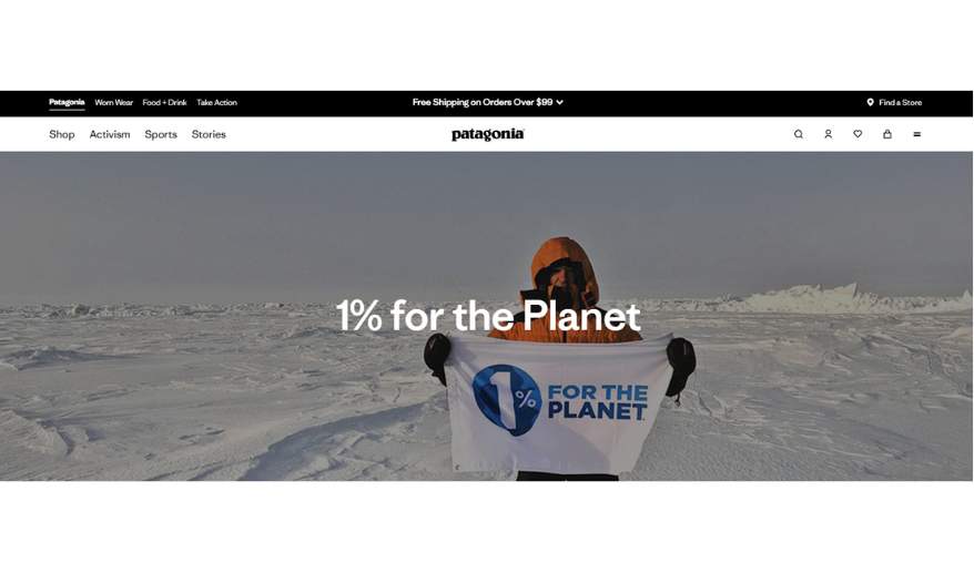 Green Marketing Examples- Patagonia