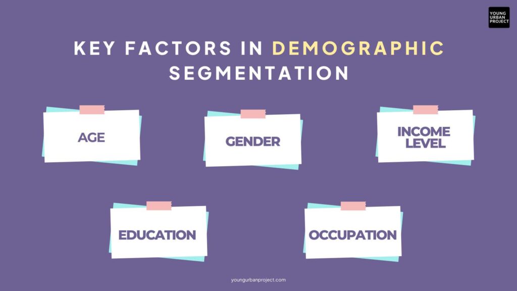 Key Factors in Demographic Segmentation: