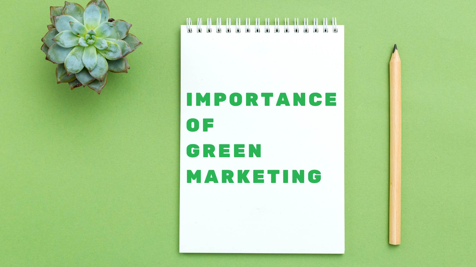 What is the Importance of Green Marketing?