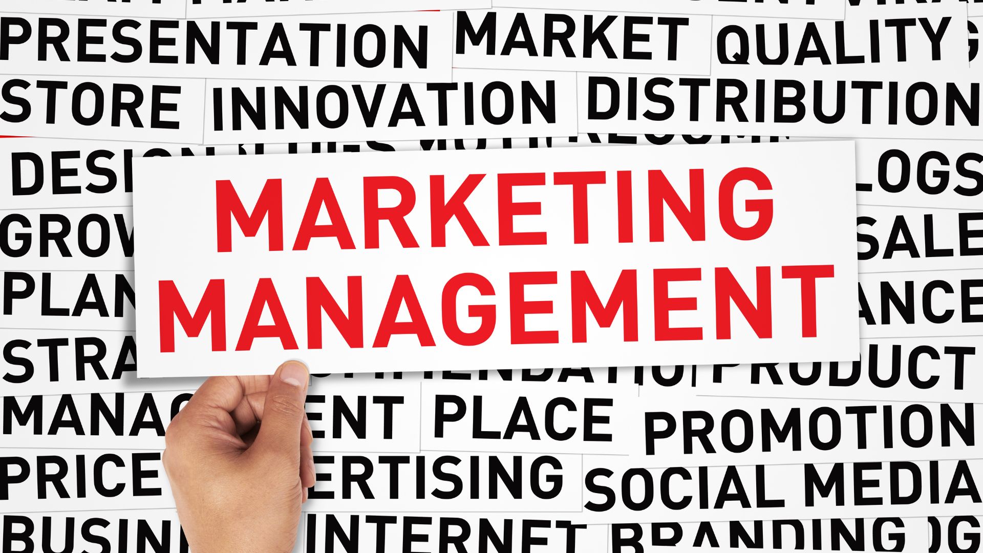 What Is Marketing Management An Overview for Beginners